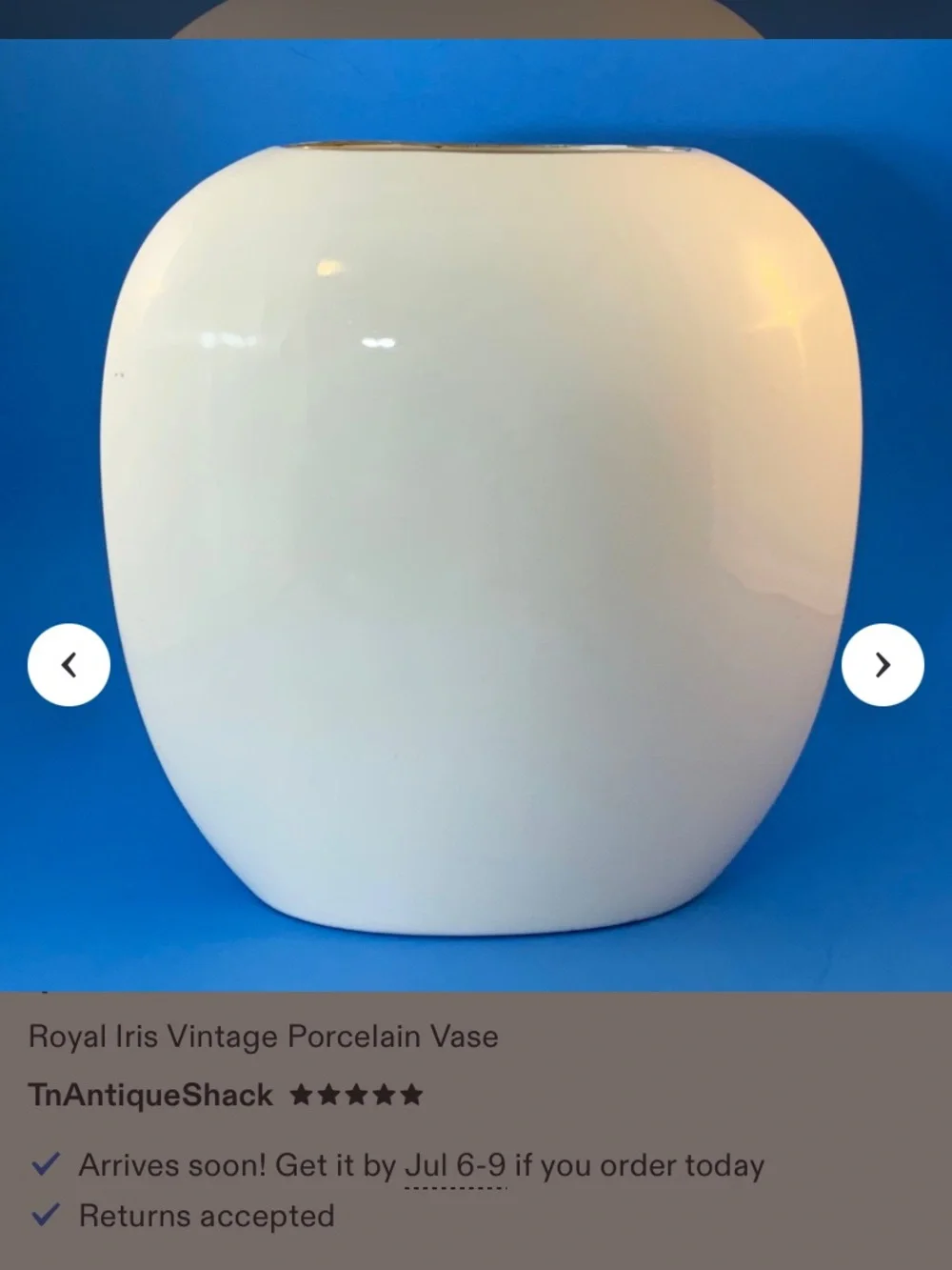 Vintage White Porcelain Vase with Brown Royals Iris Illustration Gold Trim